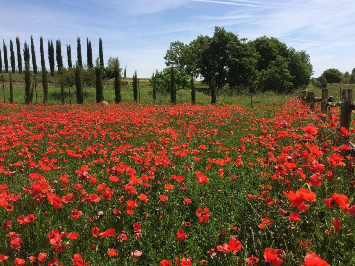 La Casa Del Fattore Monteriggioni Esterno foto